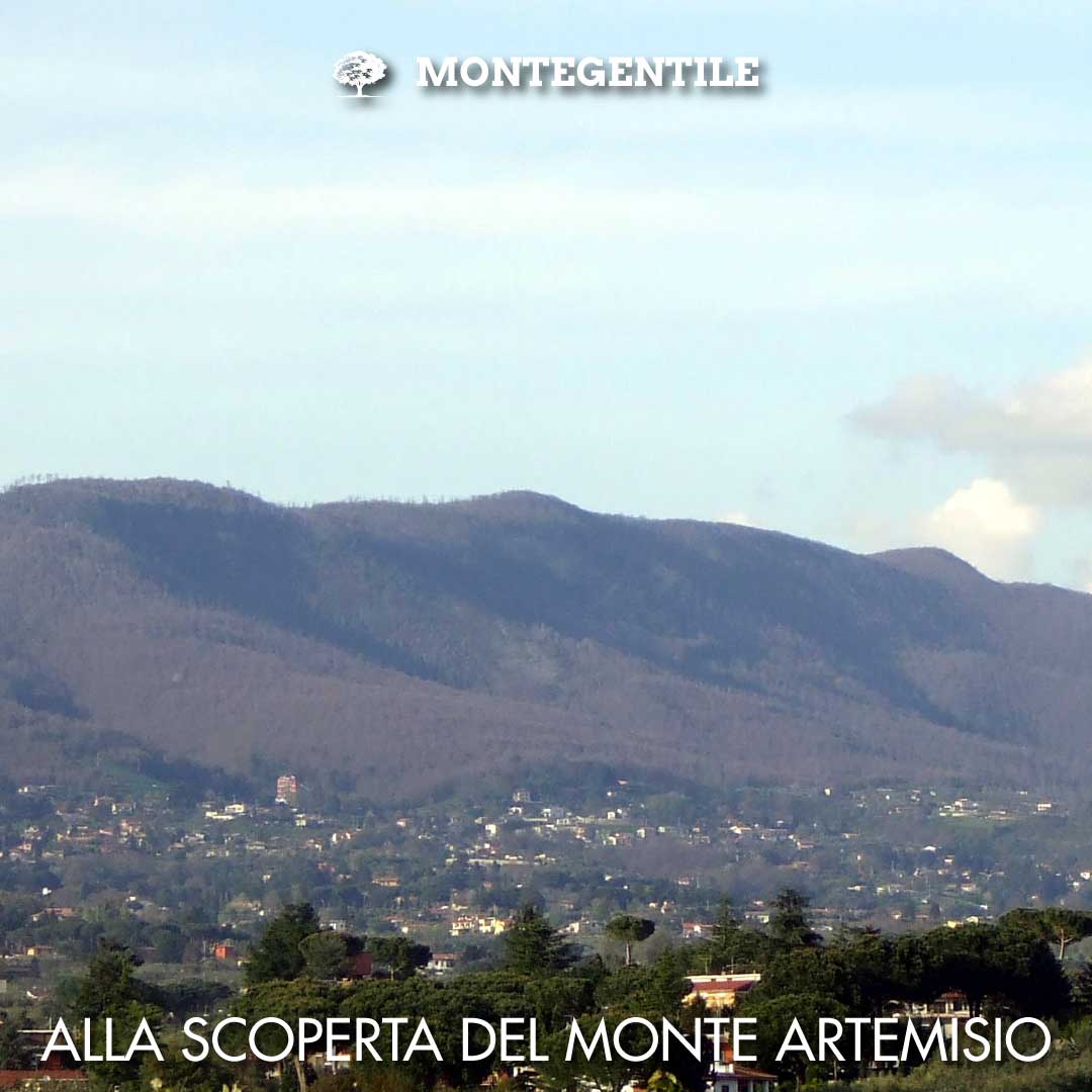 Monte Artemisio